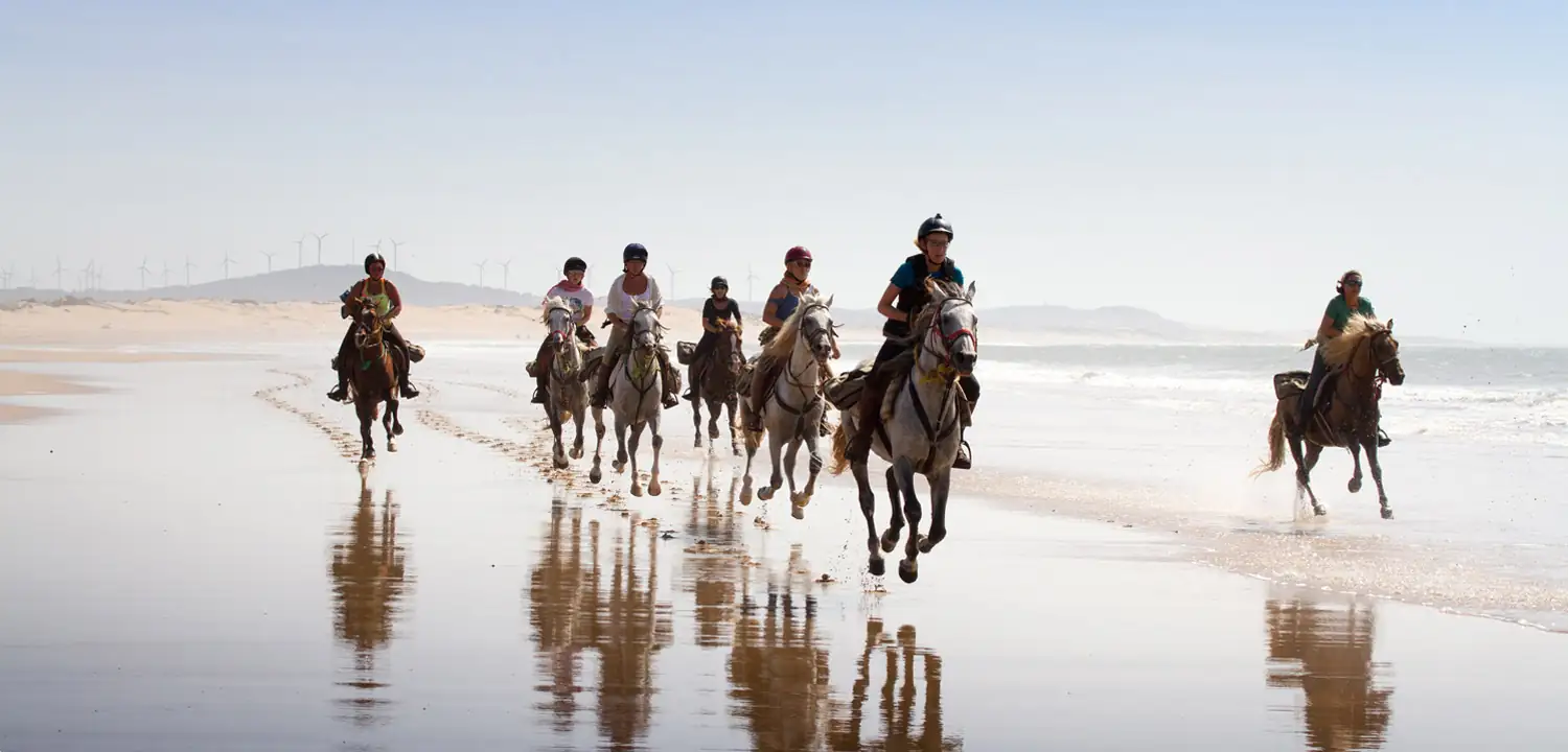 Équitation plage Essaouira