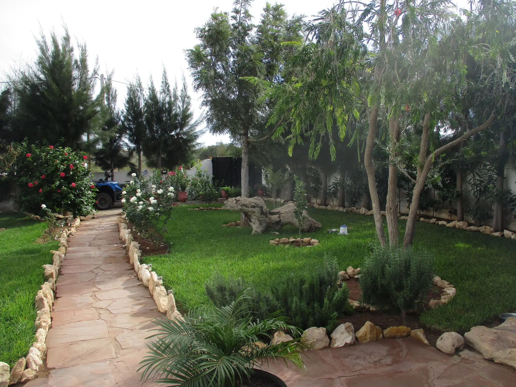 Allée du jardin fleuri